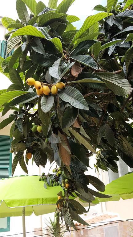 לינה וארוחת בוקר אלגהרו Il Giardino Del Nespolo מראה חיצוני תמונה